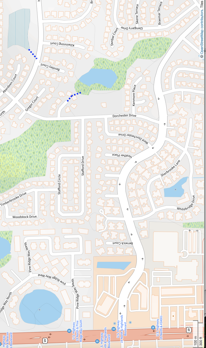 Openstreetmap screen shot from US highway 19, east past our property, and showing the sinkhole to the north, with dashed blue lines connecting sinkhole to street and pond to other street.